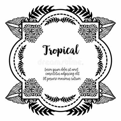 開啟財(cái)富航程 代理加盟游戲的成功之道與技術(shù)開發(fā)解析